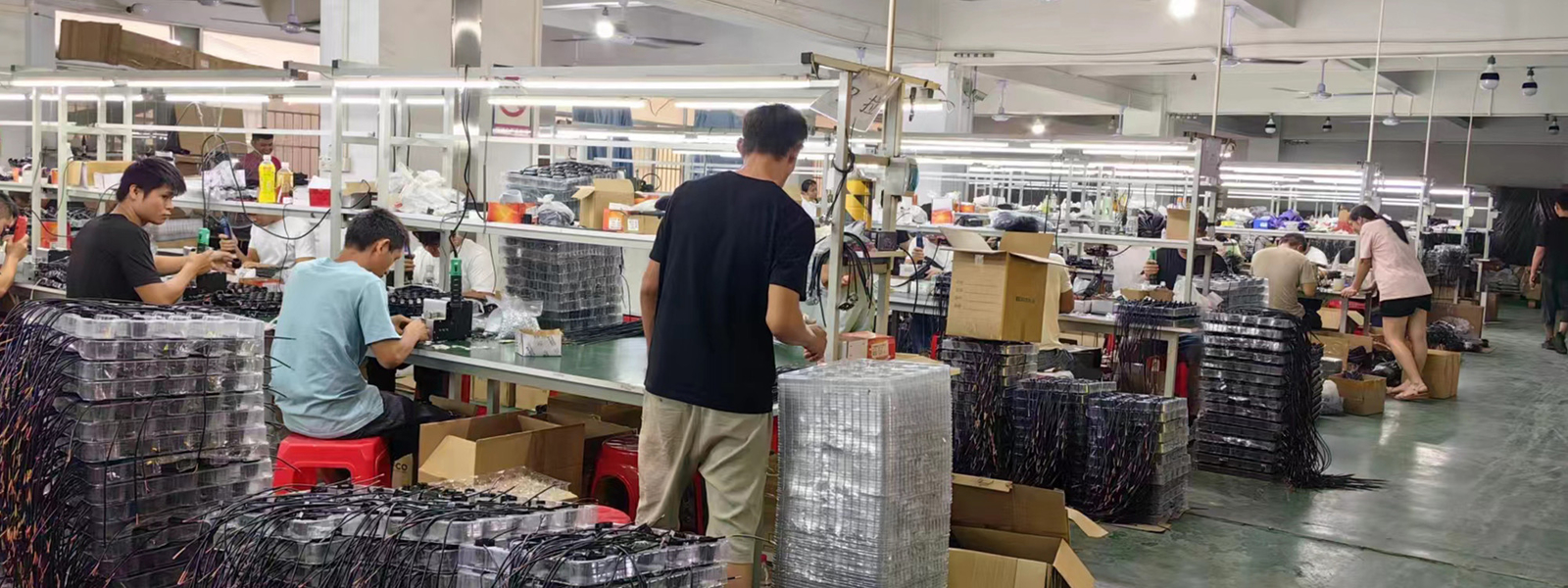 Guangzhou Baobao Lighting Co., Ltd. 製造者の生産ライン